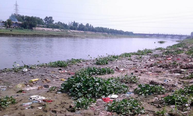 Polluted river