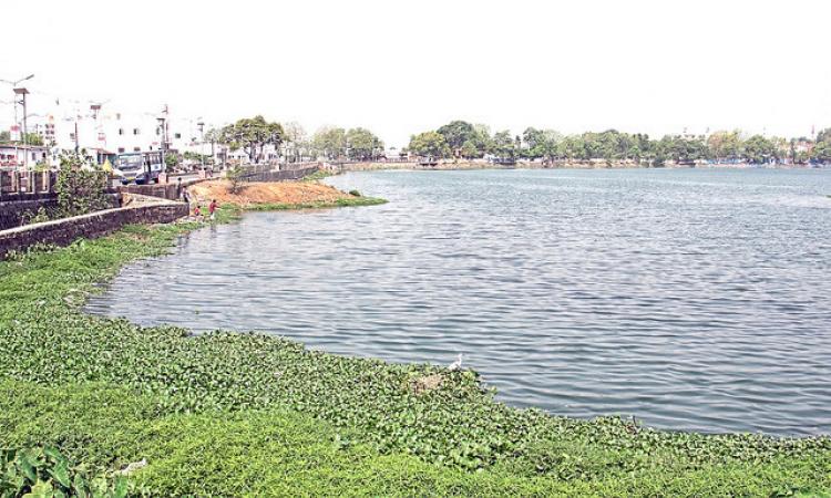 Raipur pond