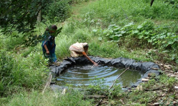 वर्षों में महिला सशक्तिकरण का एक अनूठा अभियान