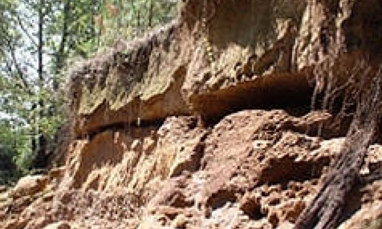 Soil erosion