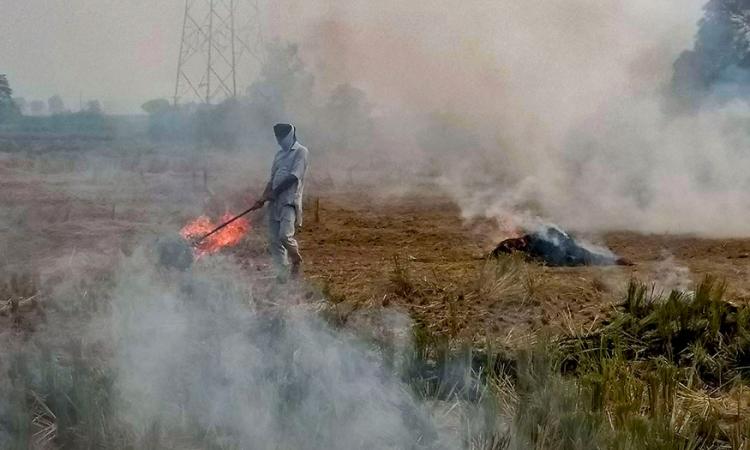 पराली से प्रदूषण, जमीनी स्तर पर हो काम