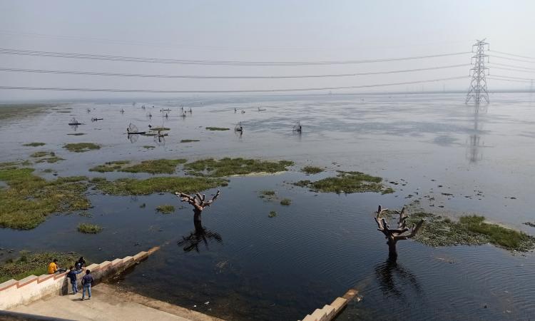बलिया जिला का सुरहा ताल, फोटो-India water portal Flicker