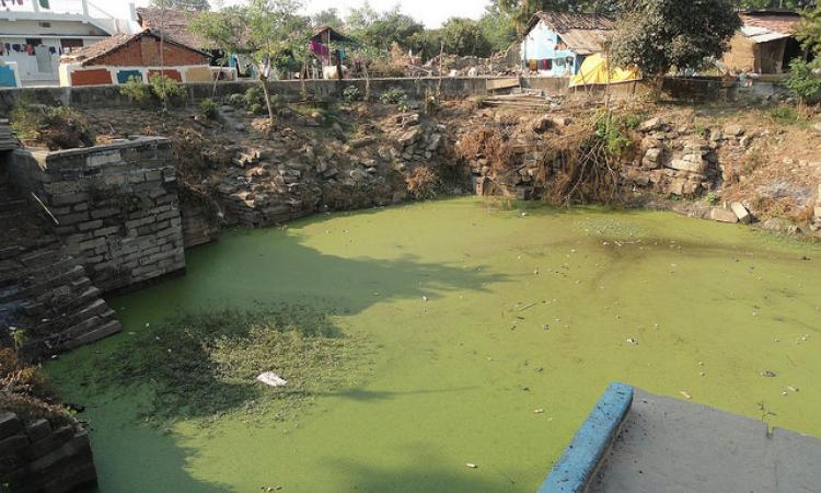 Tewar Baoli