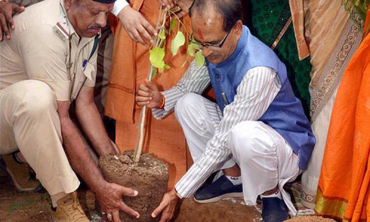 2 जुलाई को नर्मदा के किनारे वृक्षारोपण करते म.प्र. के मुख्यमंत्री शिवराज सिंह चौहान