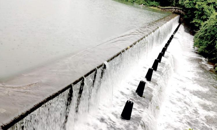 तुलसी झील अंग्रेजों द्वारा विकसित दूसरा जलाशय , फोटो-Mumbai Mirror