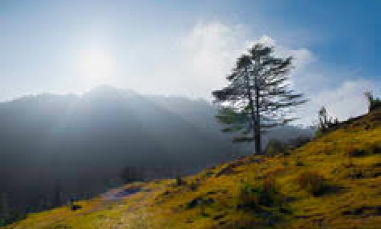 Uttarakhand