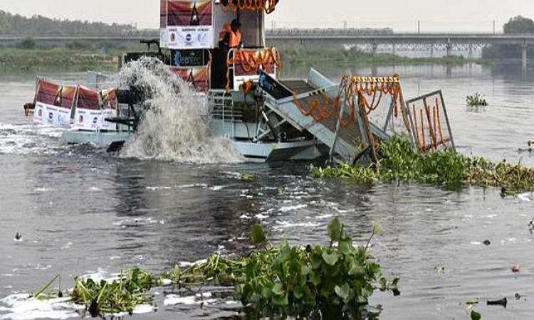 Yamuna cleaning