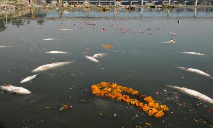 Yamuna river after immersion of sculptures