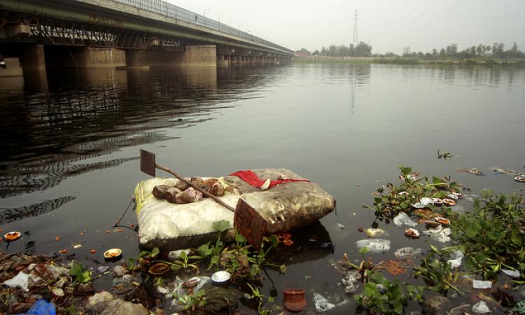 Yamuna river