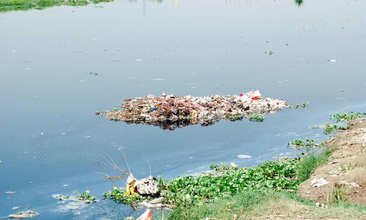 Yamuna