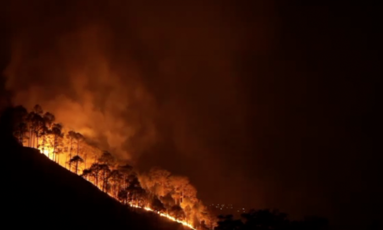 उत्तराखंड के जंगलों में क्यों बढ़ रही हैं आग की घटनायें