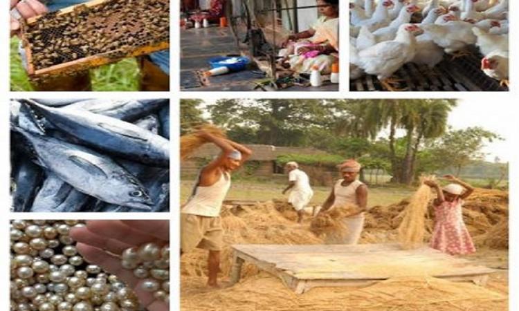 किसानों की आय बढ़ाने में सहायक कृषि-सम्बद्ध क्षेत्र
