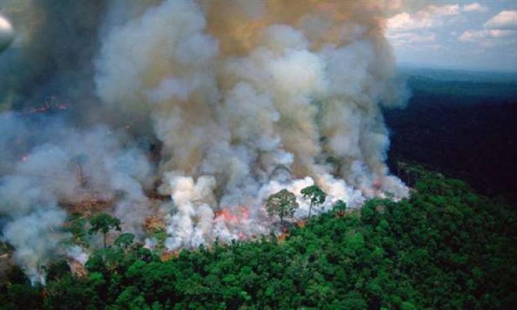 अमेजन की आग  से पृथ्वी पर बढ़ता संकट। फोटो स्त्रोत-दैनिक जागरण