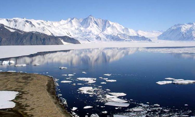 <strong>अंटार्कटिका में दबी पुरानी झील में पाया गया जीव</strong>