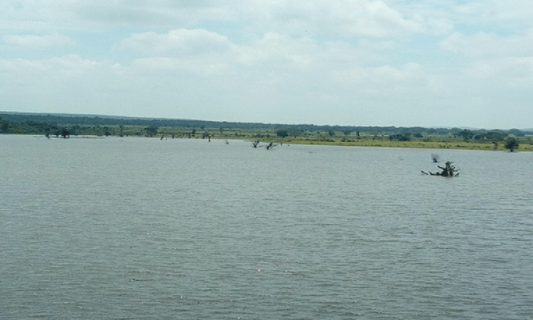 बंडई नदी, Source:बुंदेलखंड सेवा संस्थान, फोटो