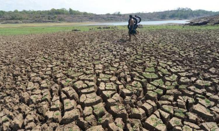 भारत में बढ़ेगा सूखा, गहराएगा खाद्यान्न संकट