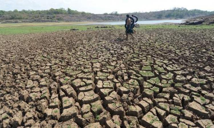 भारत में बढ़ेगा सूखा, गहराएगा खाद्यान्न संकट