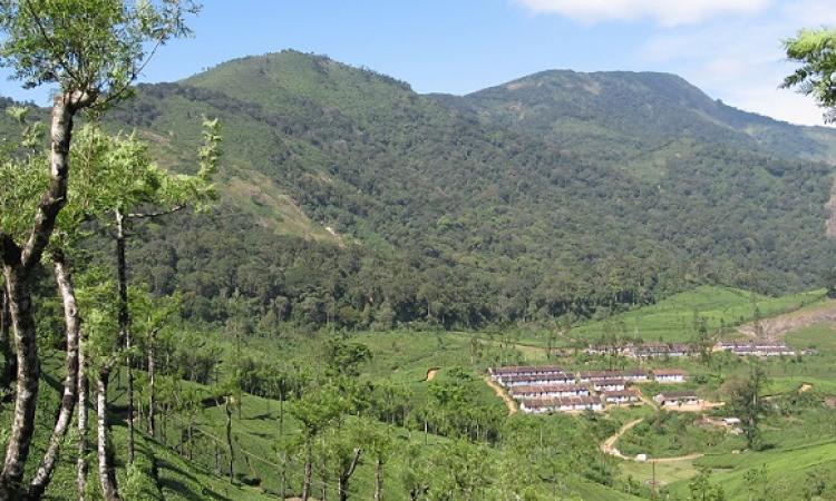 अन्नामलाई का पहाड़ी क्षेत्र।