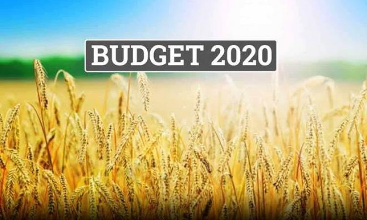 खेती किसानी के लिए बजट 2020