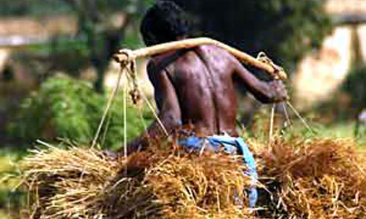 bundelkhand farmer