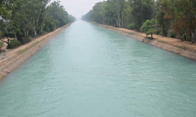 हरियाणा में धान की खेती के लिए नहरों से नहीं मिलेगा अतिरिक्त पानी