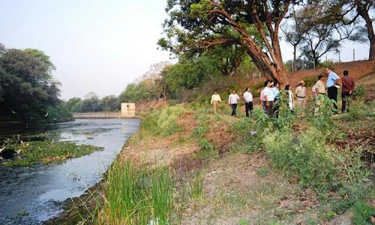 cheelar river