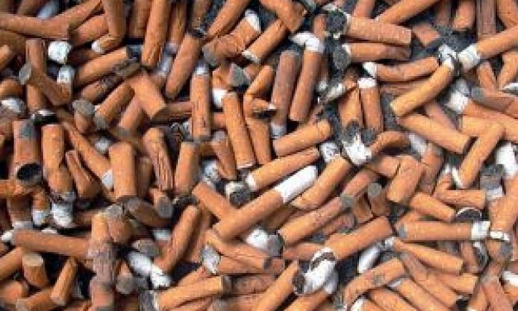 cigarette butts