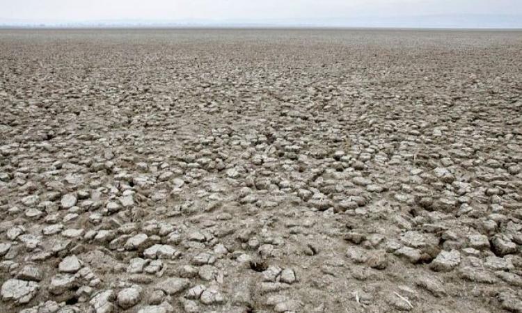 desertification in india and world