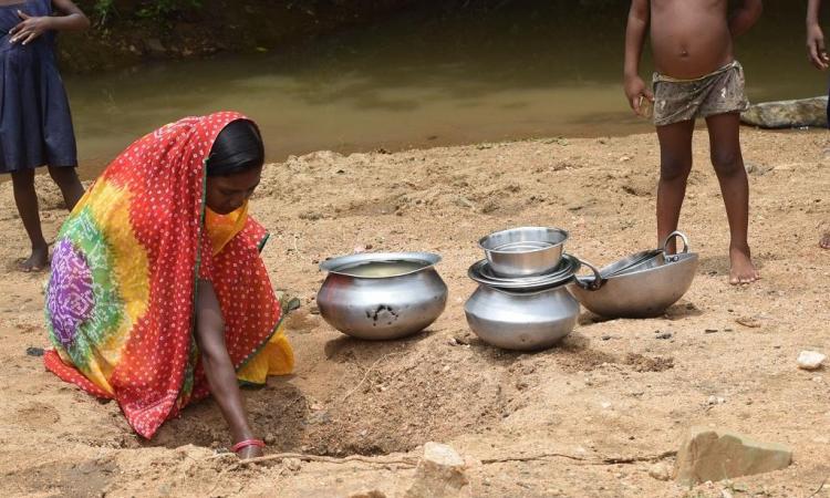 काॅप 14: बंजर हो रही झारखंड की 50 प्रतिशत भूमि।फोटो स्त्रोत-डाउन टू अर्थ