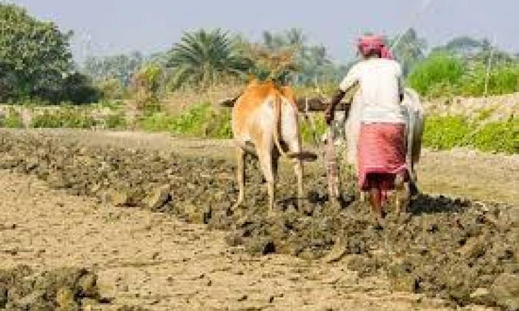 किसानों को उनकी भाषा में मिले तकनीकी जानकारी