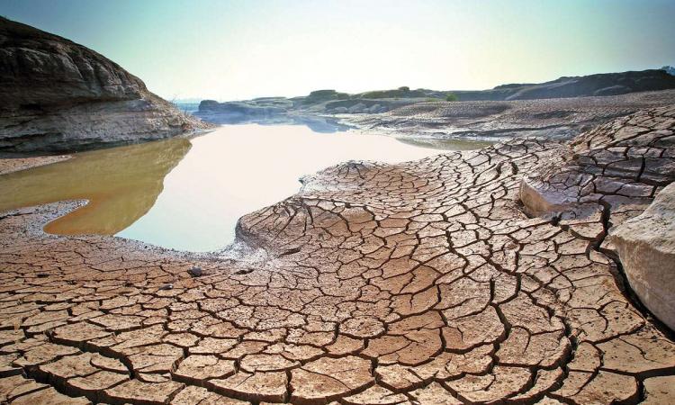 उत्तर बिहार इस बार भीषण सूखे की चपेट में है।