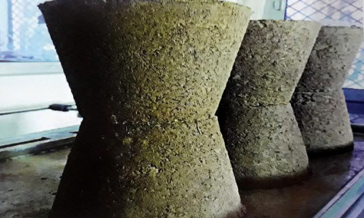 dung flower pot