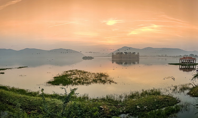 पर्यावरण इन दिनों,फोटो - indiawaterportal flicker