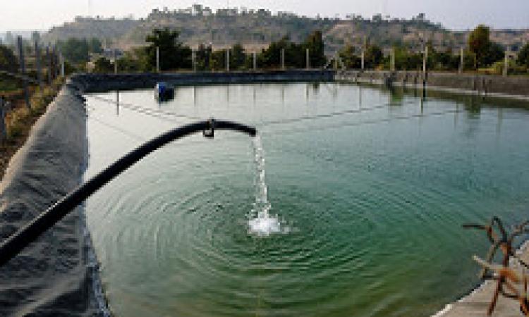 farm pond