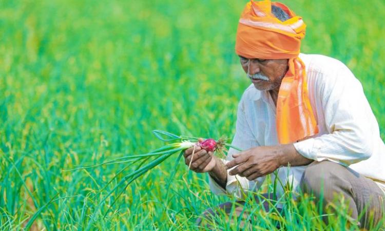 गलत नीतियों से किसान हुए बदहाल। फोटो स्त्रोत-डाउन टू अर्थ