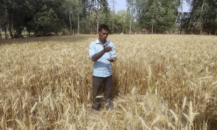 लाॅकडाउन 2 में खेती-किसानी के लिए बड़ी राहत