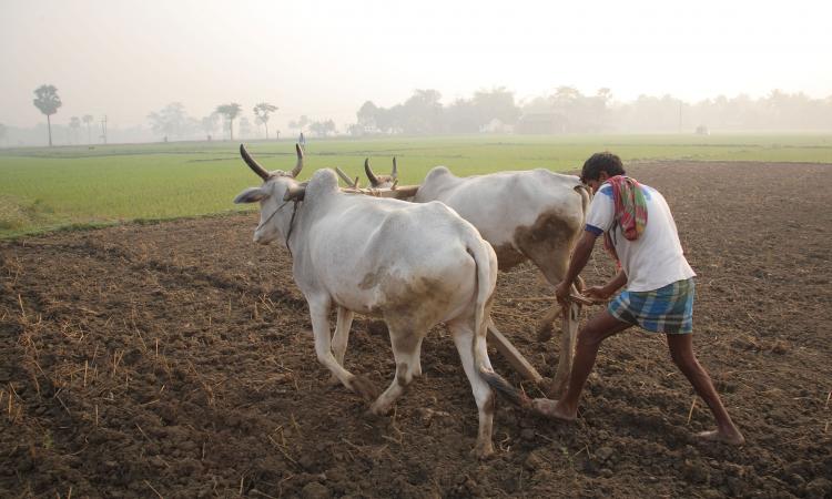 भारत के सन्दर्भ में खेती की बेहतरीन तकनीकें