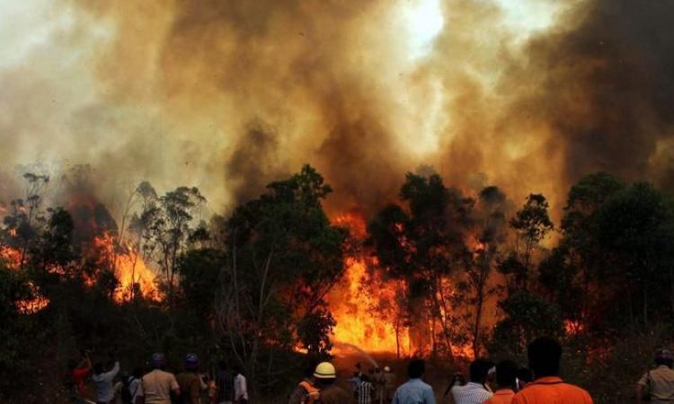 fire in Uttarakhand mountain forests