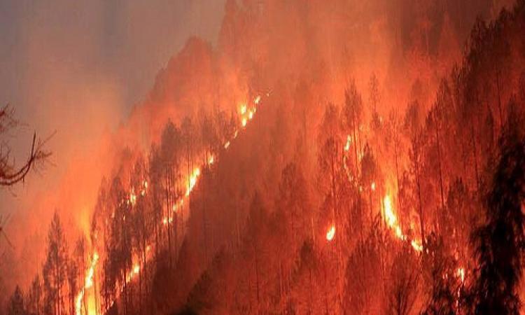 जंगलों की उपेक्षा के कारण लगती आग