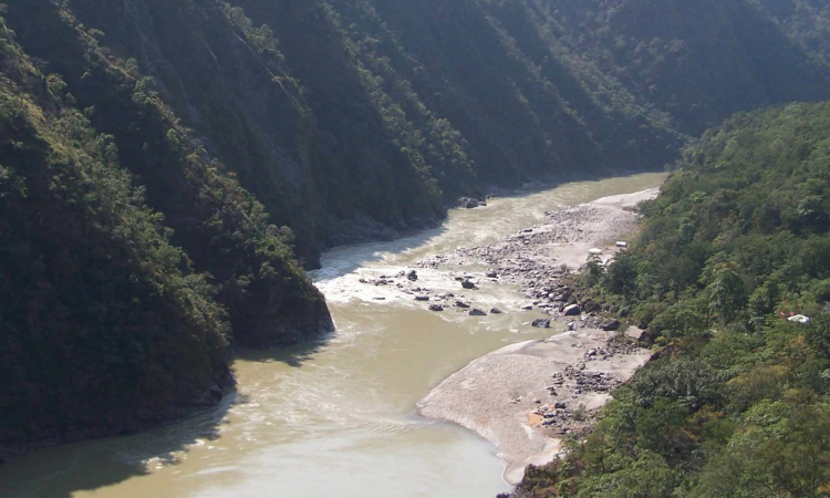 नदियों को जिंदा रखने के लिए वन जरूरी संपदा