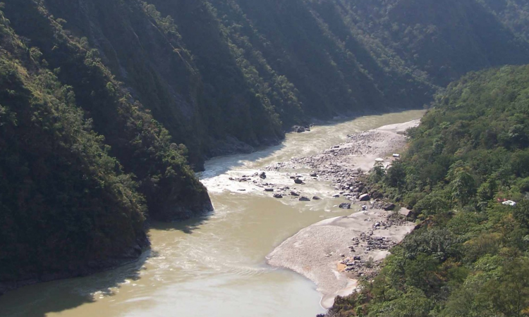 नदियों  को जिंदा रखने के लिए वन जरूरी संपदा