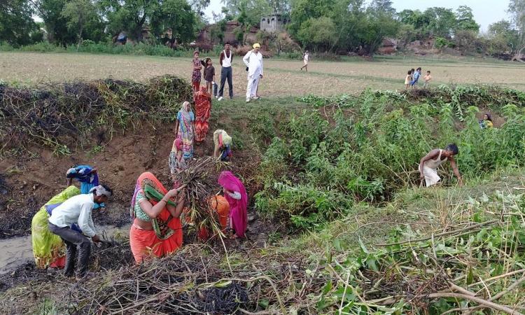 बांदा जिले के लौटे प्रवासी श्रमिक लुप्त हो चुकी घरार नदी की सफाई करते हुए। फोटो: अनिल सिंदूर