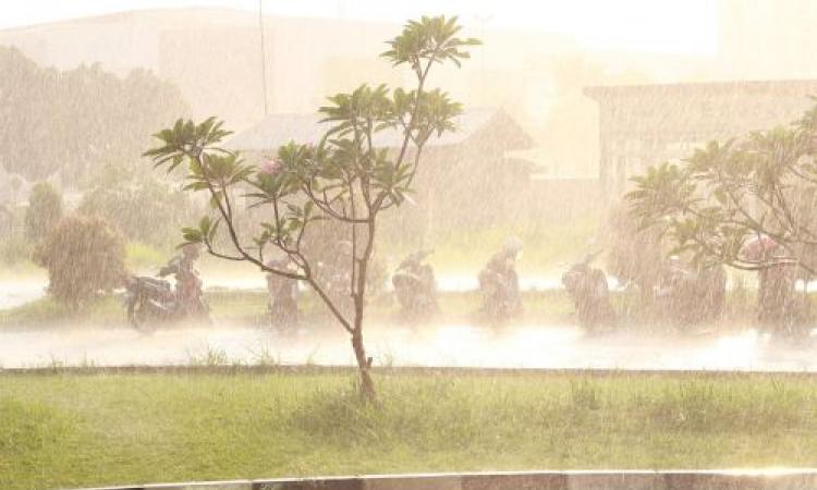 भारी बारिश अब न्यू-नार्मल है।