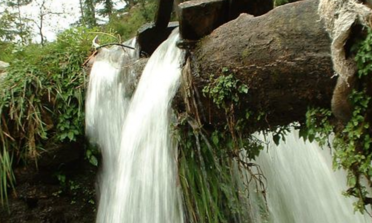 20 साल पुराना पानी पीते है अमित शाह जो है एकदम शुद्व ,जाने कैसे