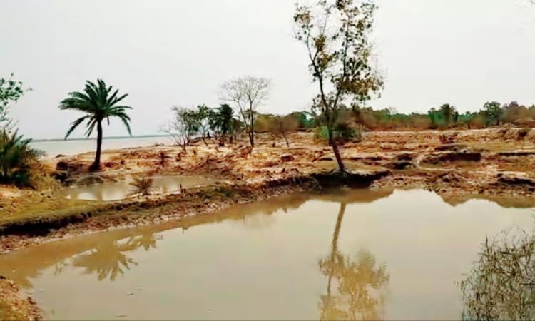 Ghodamara Island is also slowly absorbed into the water.