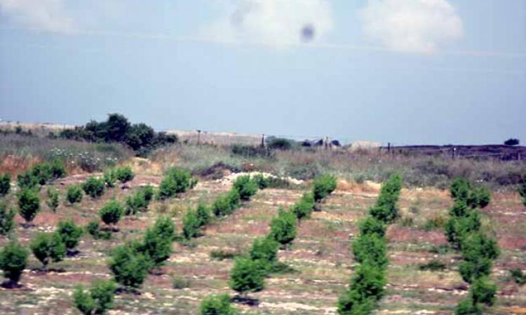 इजराइल में गंदे पानी को साफ करके सिंचाई हो रहा है