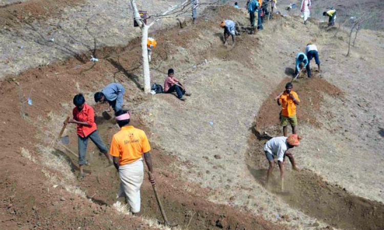 हाथीपावा पहाड़ी पर श्रमदान करते आदिवासी