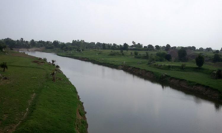 कालीसिंध चंबल नदी की सहायक नदी है।