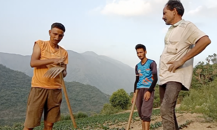 जलवायु परिवर्तन के संकट से कैसे लड़ रहे है पहाड़ के किसान
