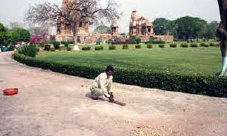 खजुराहो के मंदिरों के सामने झाड़ू से महुआ बटोरता नंदलाल